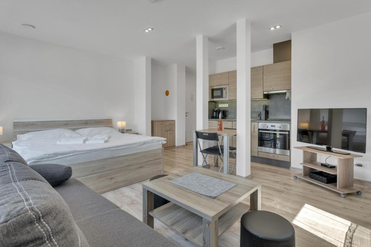 Family Apartments Klinovec Loučná pod Klínovcem Kültér fotó